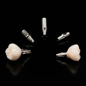 implant supported zirconia bridge with titanium implant components